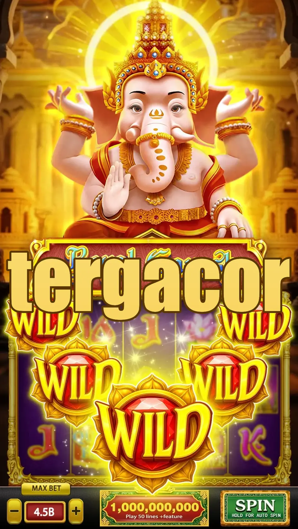 tergacor APK